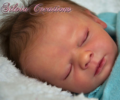 Kit - Realborn Clyde Sleeping (Bountiful)