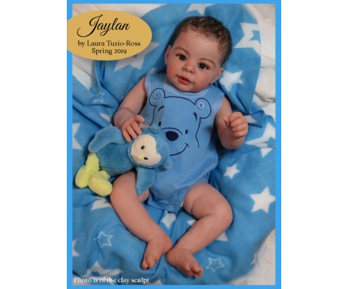 jaylan reborn kit