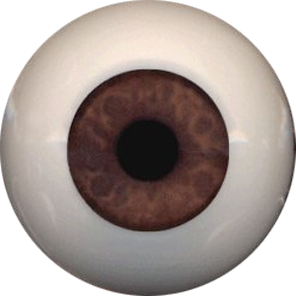 Eyeco PolyGlass Eyes - 22mm A033