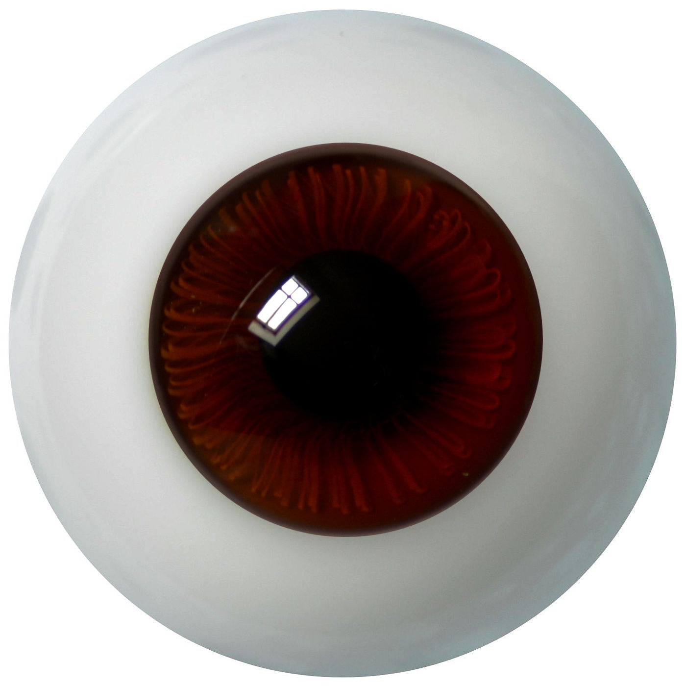 Lauschaer Glass Eyes - Chocolate Brown 22mm, Flat Back