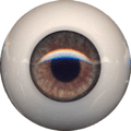 Eyeco PolyGlass Eyes - 20mm Chuck Hazel