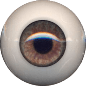 Eyeco PolyGlass Eyes - 20mm Chuck Hazel
