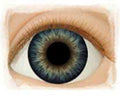 Real Eyes 14mm Dark Blue Dusk