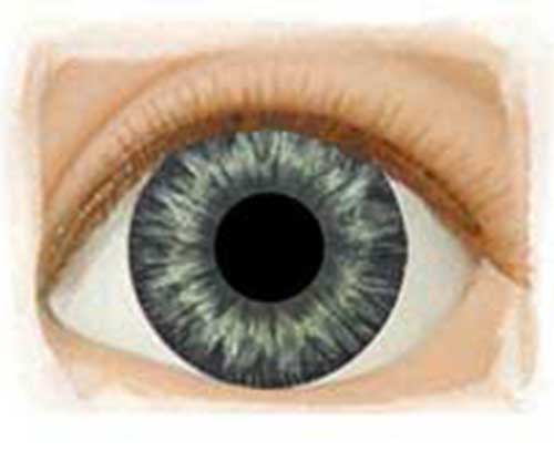 Real Eyes 16mm Medium Blue Gray
