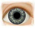 Real Eyes 12mm Medium Blue Gray