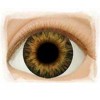 Real Eyes 26mm Sunrise Brown