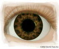 Real Eyes 24mm Tiger Brown