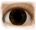 Real Eyes 16mm Chocolate Brown