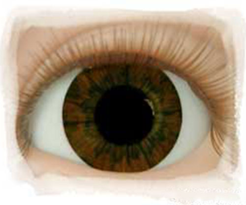 Real Eyes 24mm Sunrise Brown