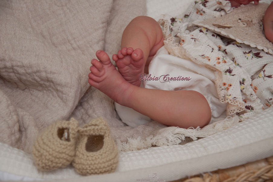Kit - Charlee by Andrea Arcello 19" 2