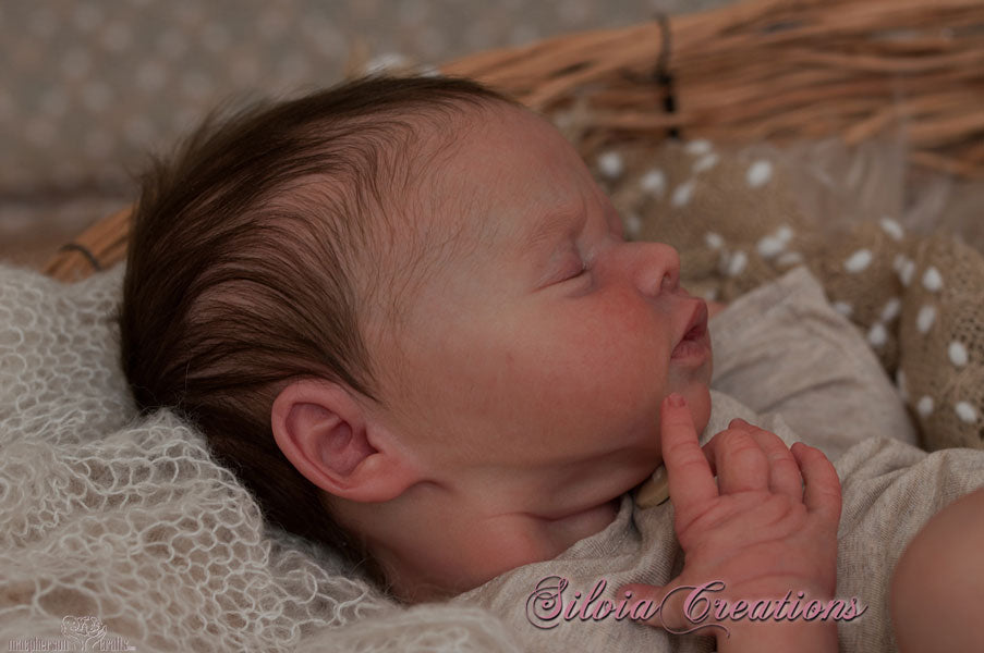 Kit - Charlee by Andrea Arcello 19" 5