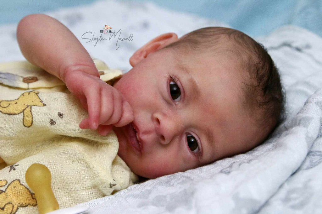 Kit - Nikolas by Doris Moyers Hornbogen (DM H Studio) 4
