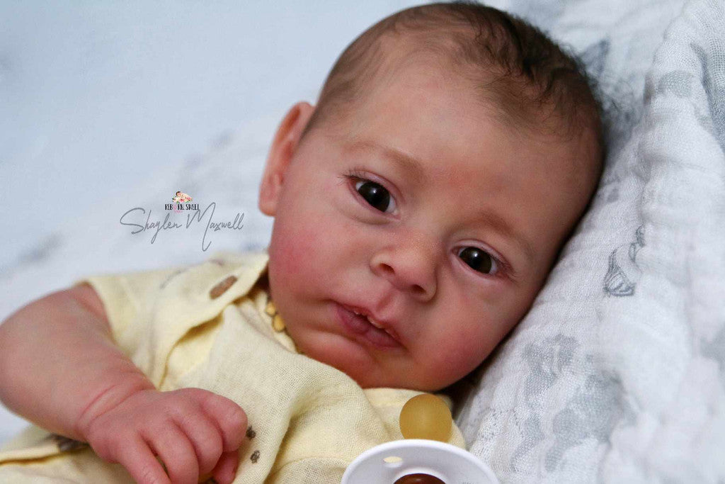 Kit - Nikolas by Doris Moyers Hornbogen (DM H Studio) 3