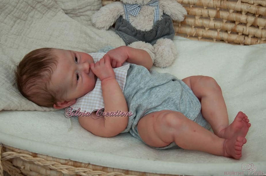 Kit - Nikolas by Doris Moyers Hornbogen (DM H Studio) 5