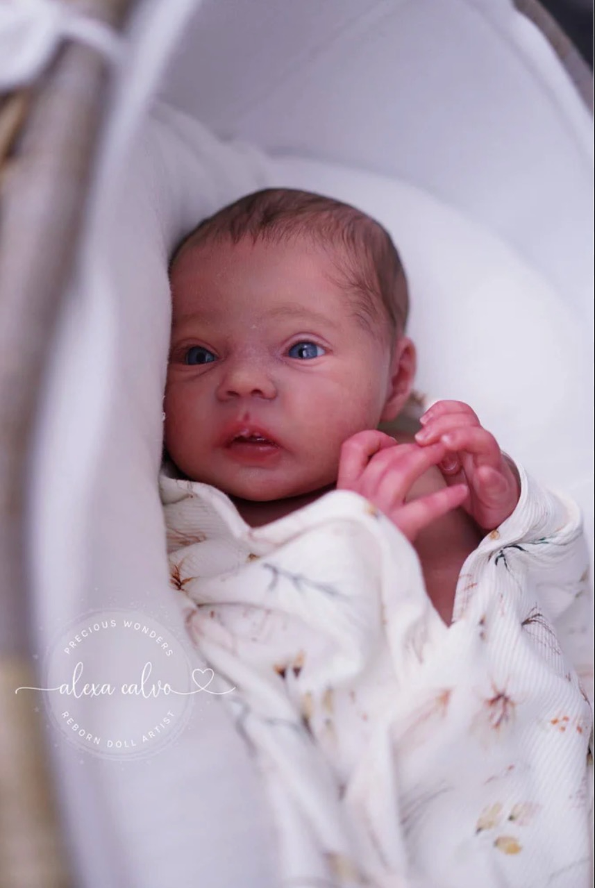 Kit - Mayven by Viviane Aleluia 20"