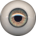 Eyeco PolyGlass Eyes - 20mm Meadow Green