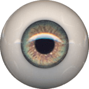 Eyeco PolyGlass Eyes - 20mm Meadow Green