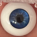 Eyeco PolyGlass Eyes - 22mm Midnight Star