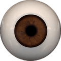 Eyeco PolyGlass Eyes - 20mm P019