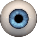 Eyeco PolyGlass Eyes - 22mm P072